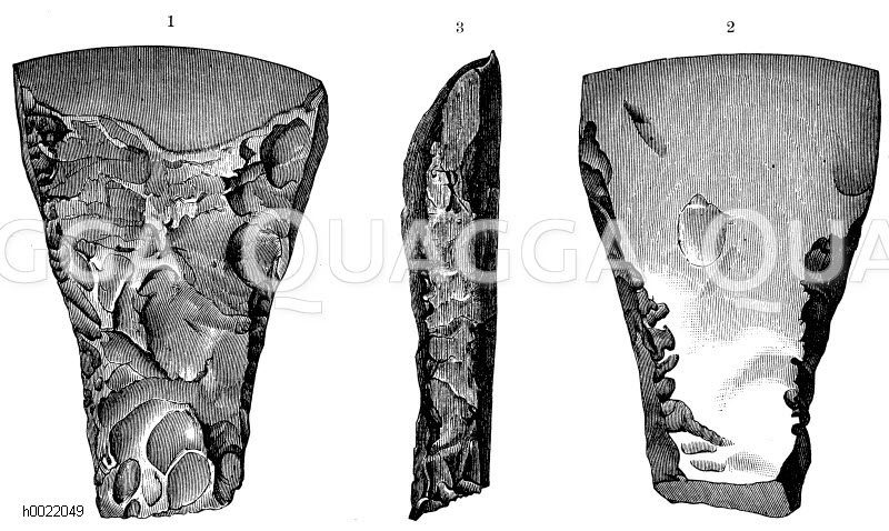 Feuersteinbeile aus Neuseeland: 1) Vorder-, 2) Rücken-, 3) Seitenansicht (nach Lubbock) [Digital]