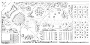 Plan einer Obstanlage im landschaftlichen Stil verbunden mit extensivem Obstbau Zeichnung/Illustration