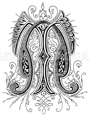 Monogramm TN Zeichnung/Illustration