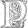 Gotische Unzialschrift: Buchstab P. Initial aus dem Jahr 1480. Rouen. Zeichnung/Illustration