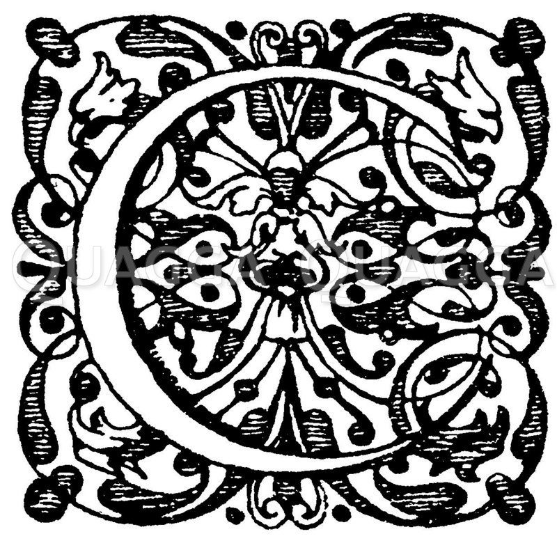 Lateinische Renaissanceschrift: Buchstabe C. Initial aus dem 17. Jahrhundert Elzevirsche Offizin. (Ysendyck) Zeichnung/Illustration