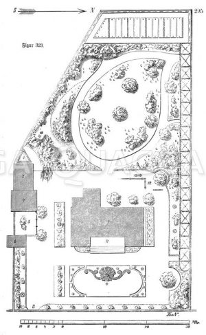 Plan eines Hausgartens Zeichnung/Illustration