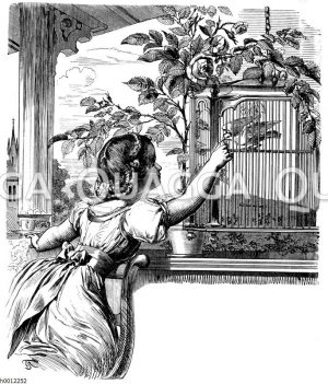 Mädchen füttert weiße Taube in Käfig