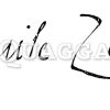 Emile Zola: Autograph