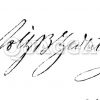 Joseph Christian Freiherr von Zedlitz: Autograph