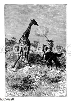 Jagd auf eine Giraffe