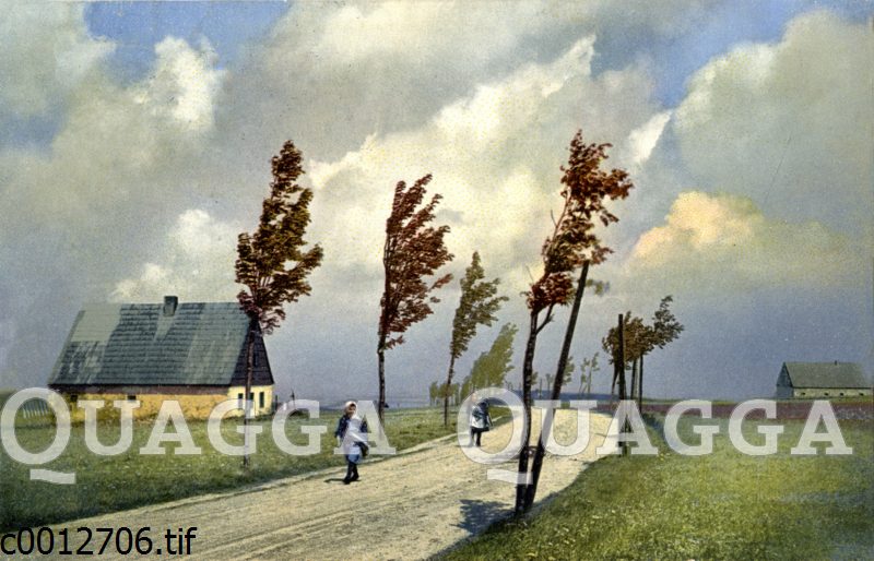 Zwei Frauen auf Straße bei Wind