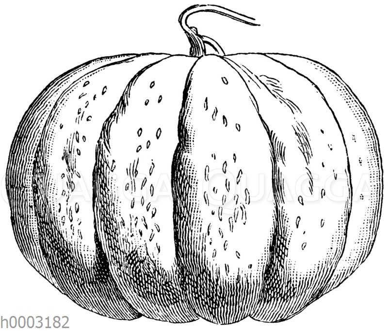 Melone