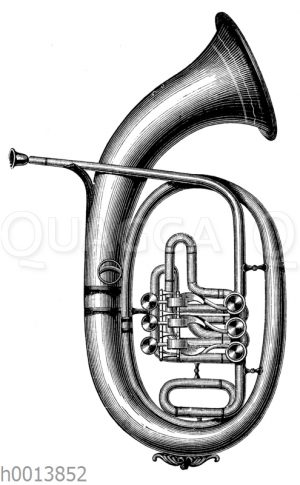 Tenorhorn (Österreichische Form)