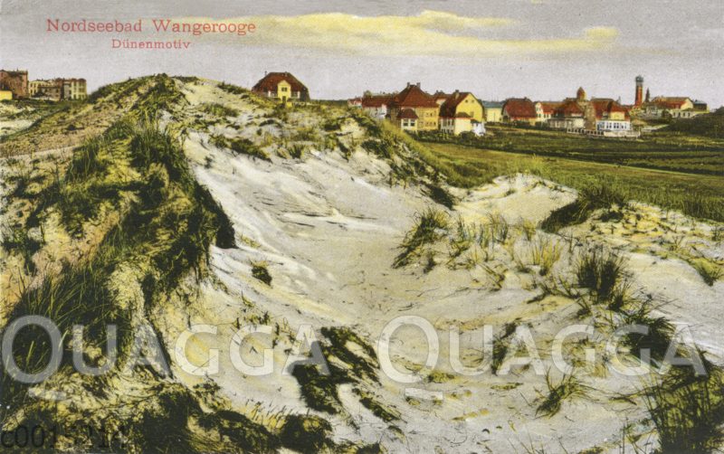 Nordseebad Wangerooge: Dünen