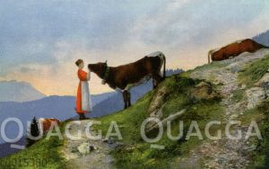 Frau mit Kuh in den Bergen