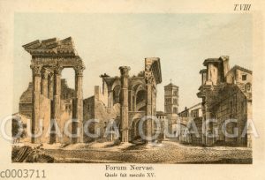 Forum Nervae