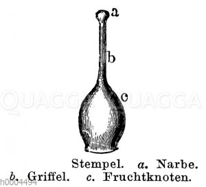 Stempel