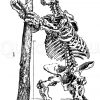 Riesenfaultier: Skelett