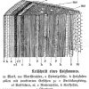 Holzstamm: Keilschnitt