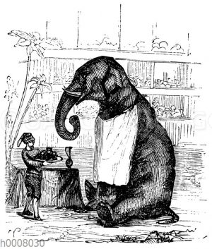 Dressierter Elefant mit Serviette und Dompteur