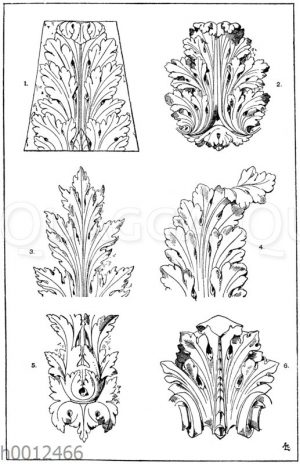 Akanthusblätter