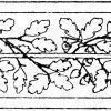 Blattbänder und Rankenbänder: Eichenbordüre. Parkettbodenfriese von Tasson und Washer in Brüssel. (Gewerbehalle).