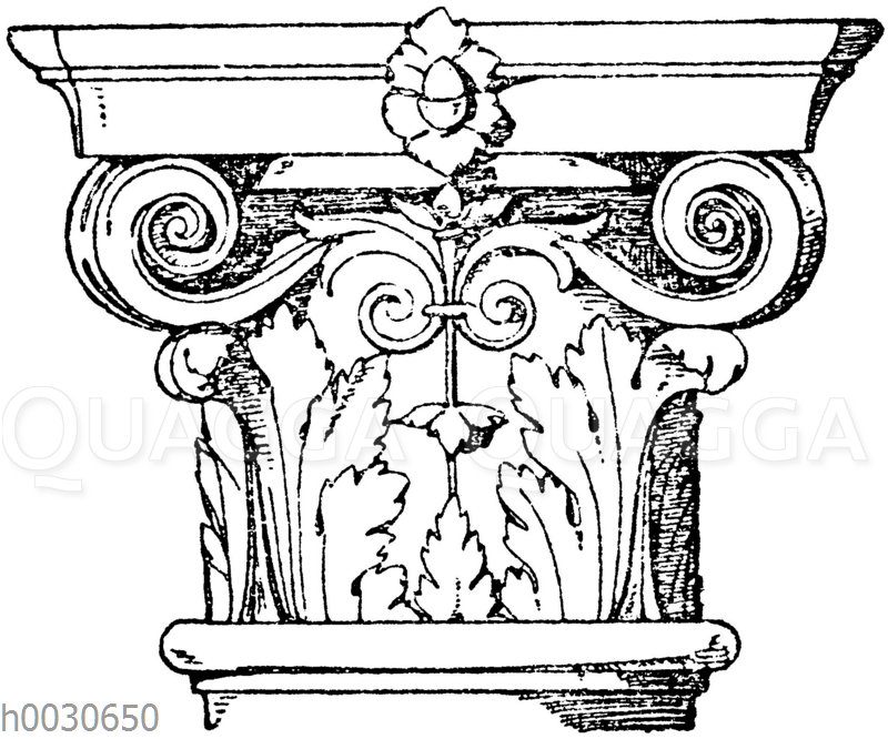 Säulenkapitell. Italienische Renaissance. Von einem Grabmal in Sta. Maria  del popolo in Rom. Sansovino. - Quagga Illustrations