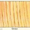 Holzart: Ulme