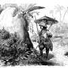 Robinson Crusoe findet statt des Zeltes einen Termitenhügel