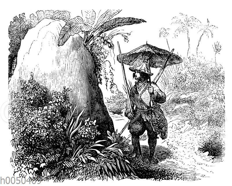 Robinson Crusoe findet statt des Zeltes einen Termitenhügel