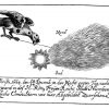 Darstellung eines Komenten aus dem Jahr 1664