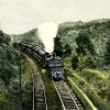 Lokomotive und Wagons auf der 'Schiefen Ebene' zwischen Marktschorgast und Neuermarkt (Oberfranken)