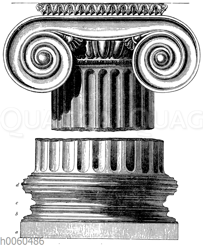 Basis und Kapitell der ionischen Säule - Quagga Illustrations