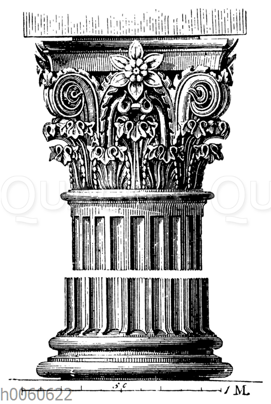 Römisch-korinthische Säule vom Rundtempel zu Tivoli - Quagga Illustrations