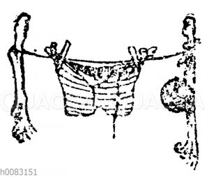 Gestreifte Unterhose auf einer provisorischen Wäscheleine