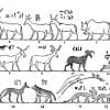 Altägyptische Darstellung verschiedener Tiere