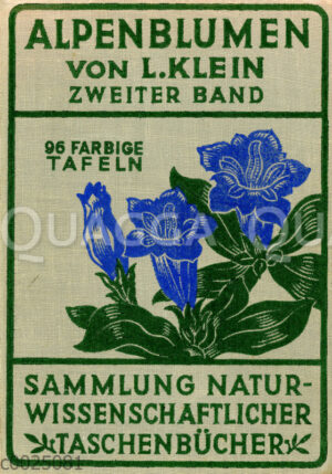 Einband des Buches 'Alpenblumen' von Ludwig Klein. Bd. 2